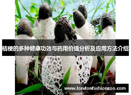 桔梗的多种健康功效与药用价值分析及应用方法介绍