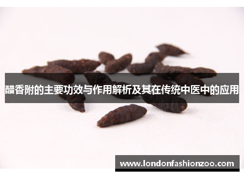 醋香附的主要功效与作用解析及其在传统中医中的应用